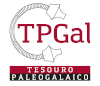 Logo Tesouro paleogalaico